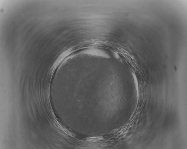 X0000067880051200604171259