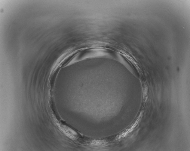 X0000067880101200604171259