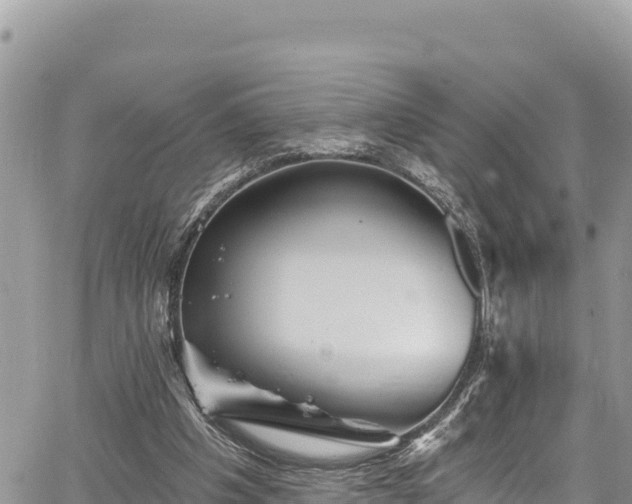 X0000067880201200604171258