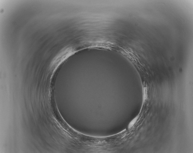 X0000067880243200604171256