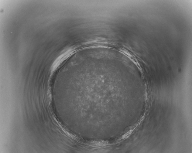 X0000067880245200604171256