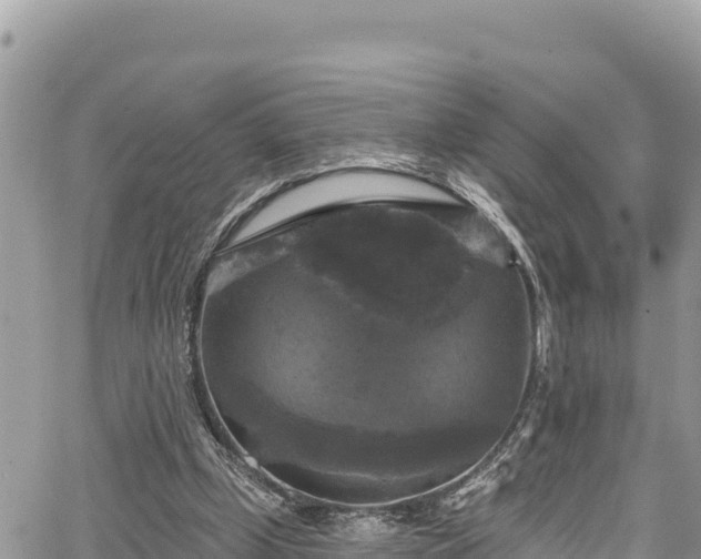 X0000067880249200604171256
