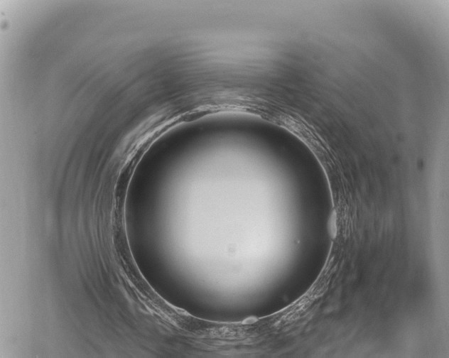 X0000067880338200604171255