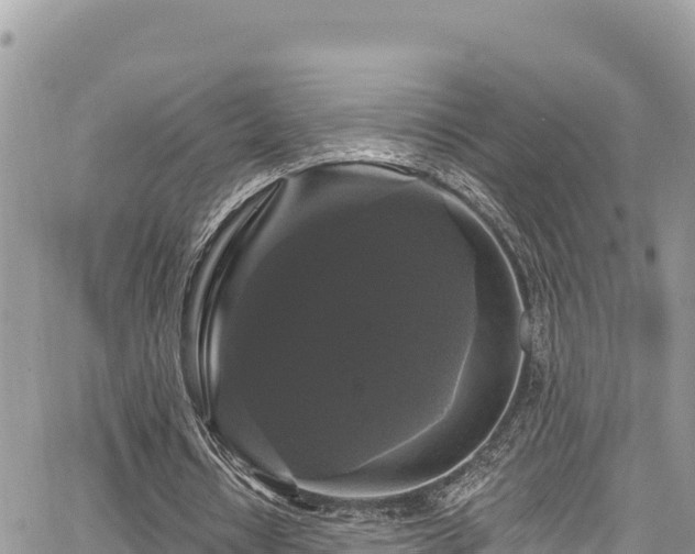 X0000067880434200604171253