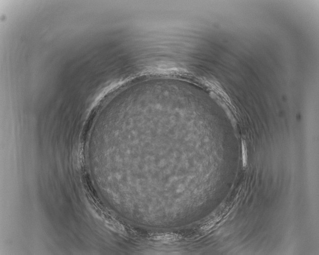 X0000067880579200604171251