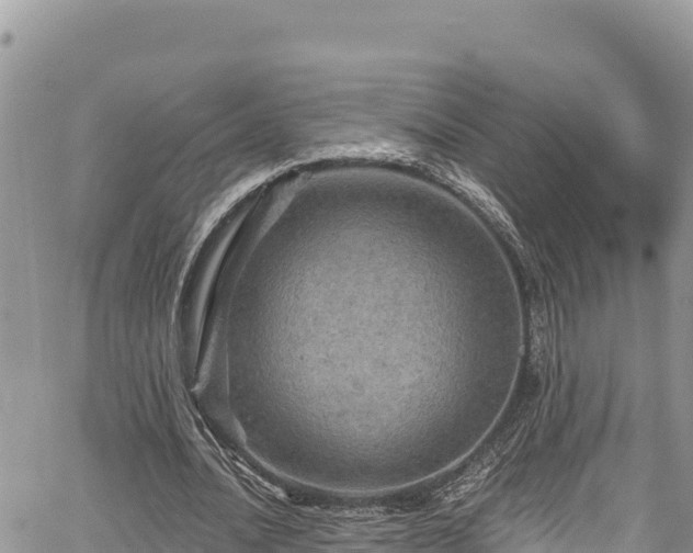 X0000067880628200604171250