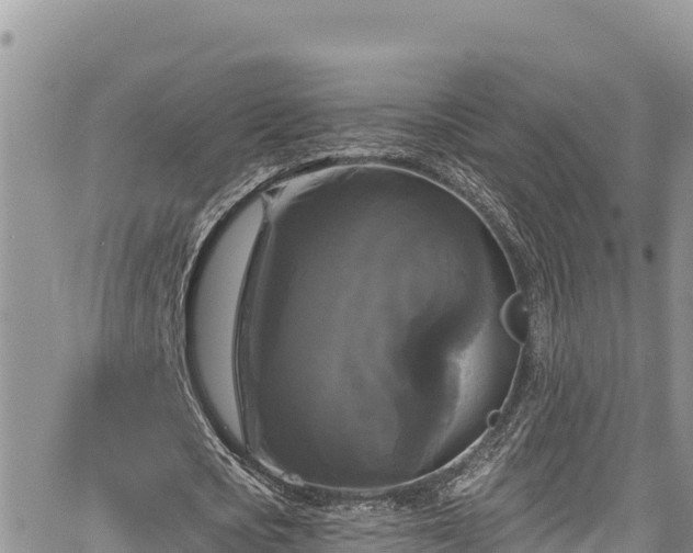 X0000067880721200604171248