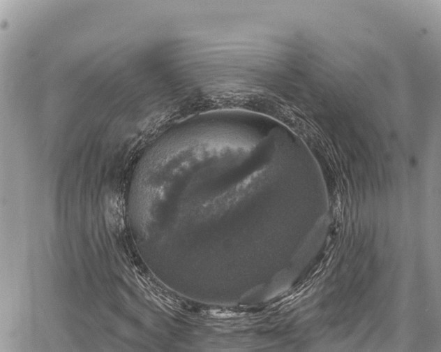 X0000067880772200604171248