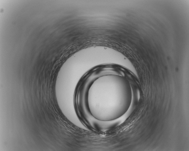 X0000067880818200604171247