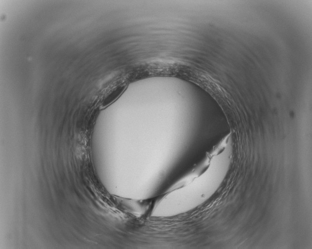 X0000067880964200604171245