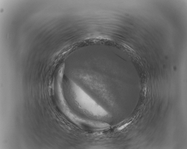 X0000067881014200604171244
