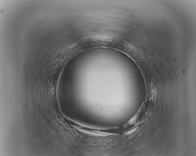 X0000067881061200604171244