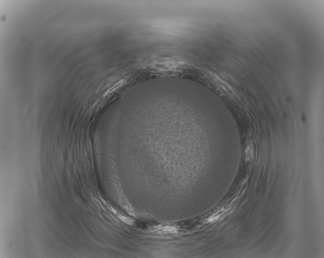 X0000067881156200604171242