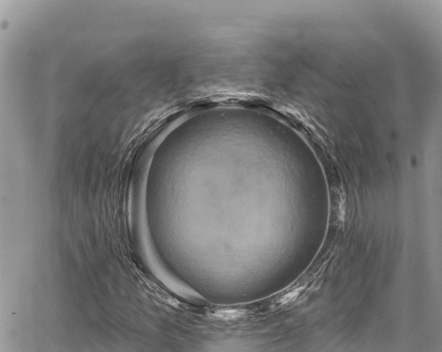 X0000067881157200604171242