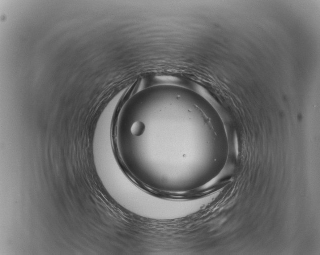 X0000067881202200604171240