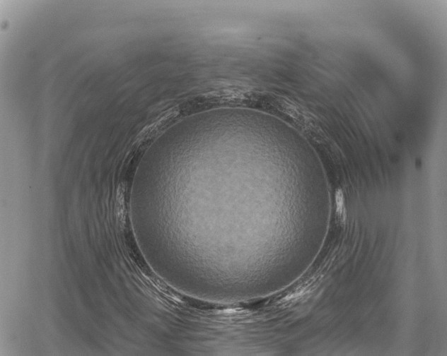 X0000067881203200604171240