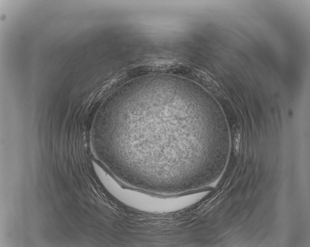 X0000067881204200604171241