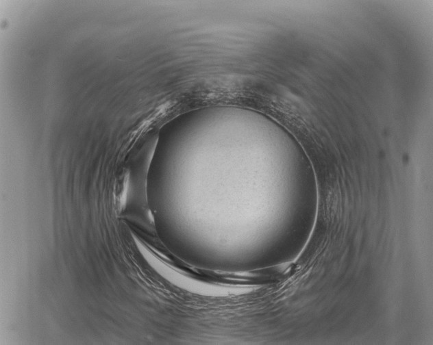 X0000067881250200604171240