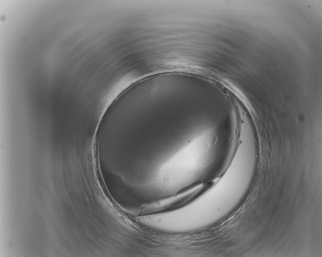X0000067881291200604171240
