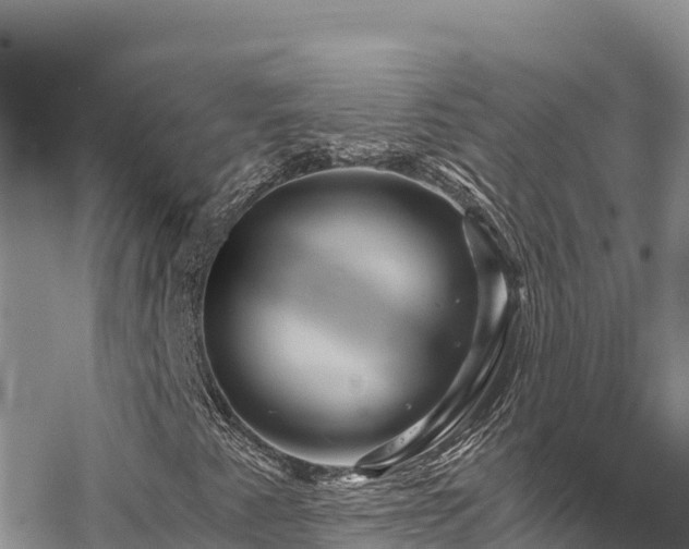 X0000067881345200604171239