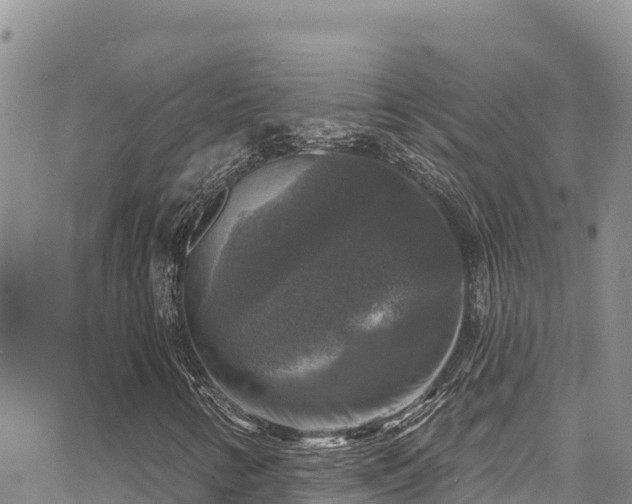 X0000067881346200604171239