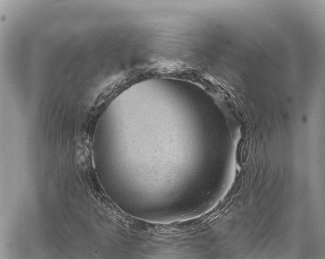 X0000067881349200604171239