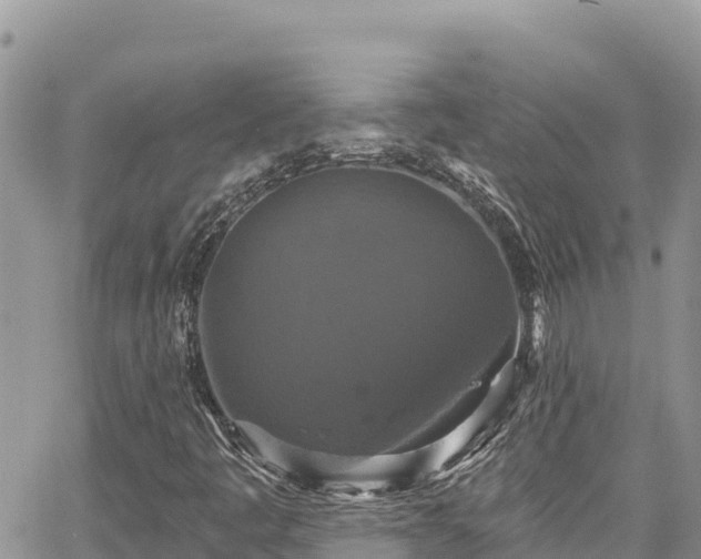 X0000067881445200604171237