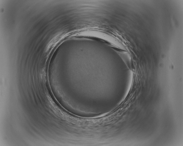 X0000067880002200604201255