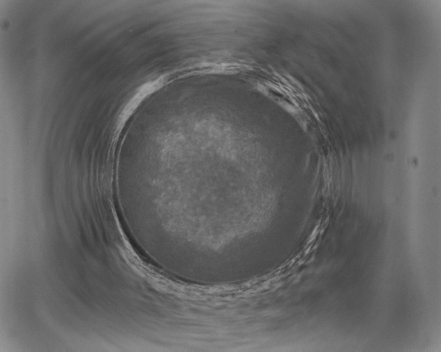 X0000067880003200604201255