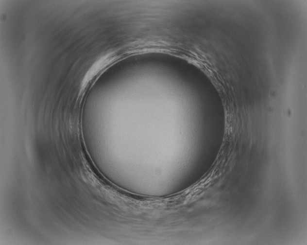 X0000067880004200604201255