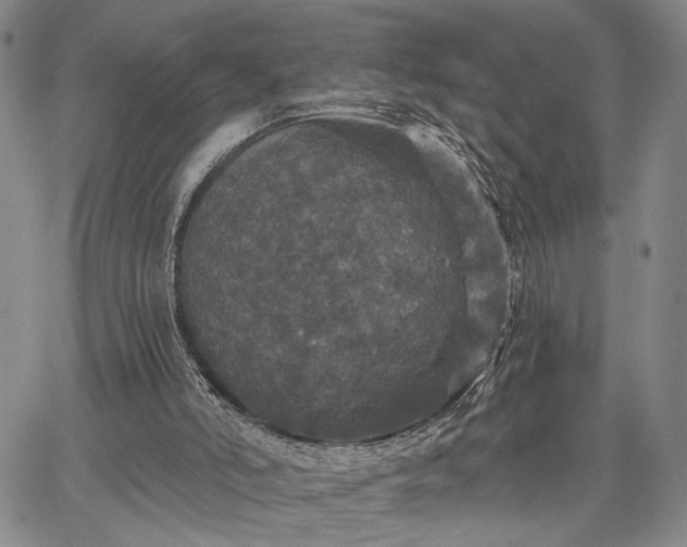 X0000067880006200604201255