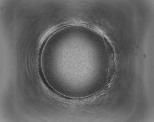 X0000067880007200604201255