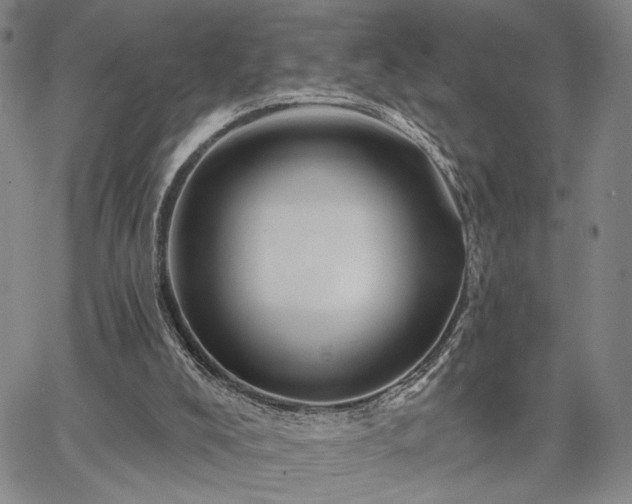 X0000067880008200604201255