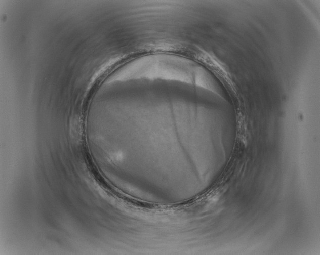 X0000067880012200604201255