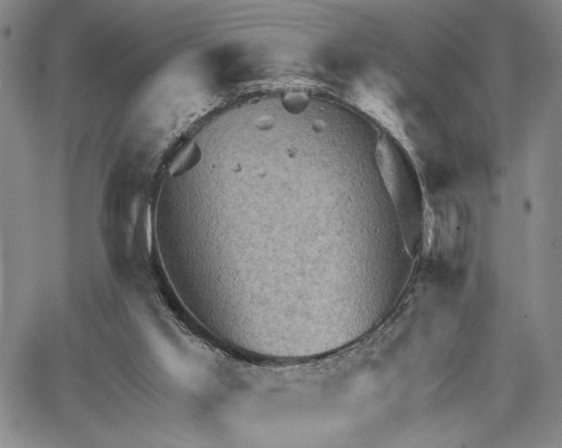 X0000067880013200604201255