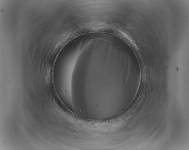 X0000067880018200604201255