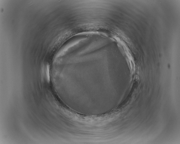 X0000067880022200604201255
