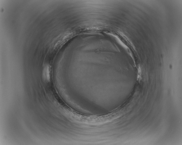 X0000067880026200604201255