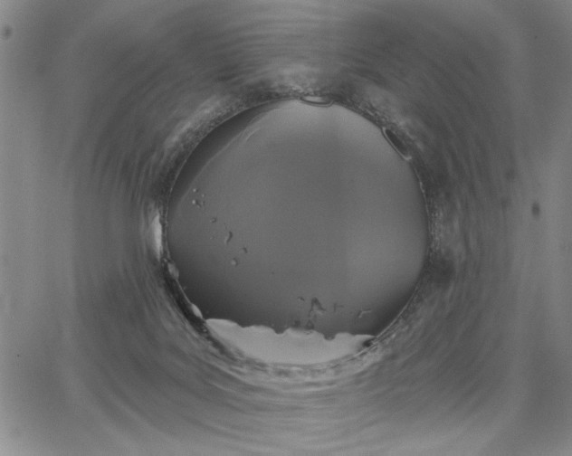 X0000067880027200604201255