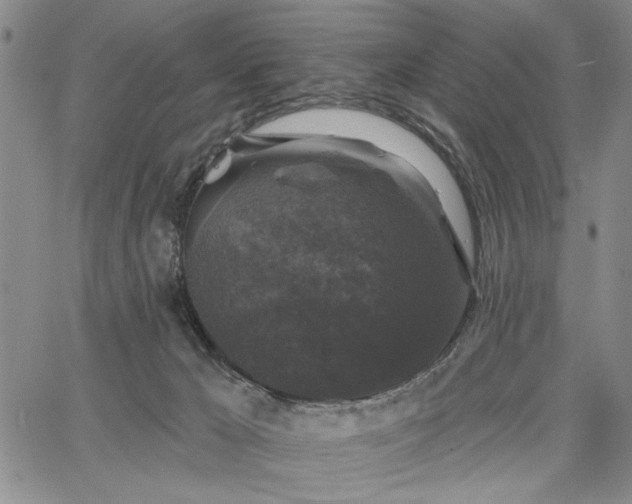 X0000067880029200604201255