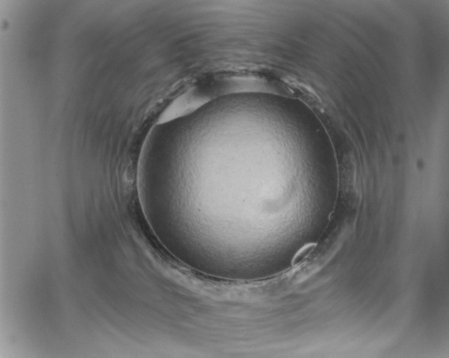 X0000067880040200604201255
