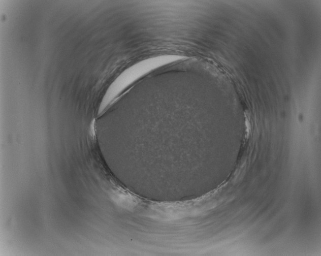 X0000067880041200604201254
