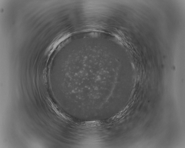X0000067880050200604201254