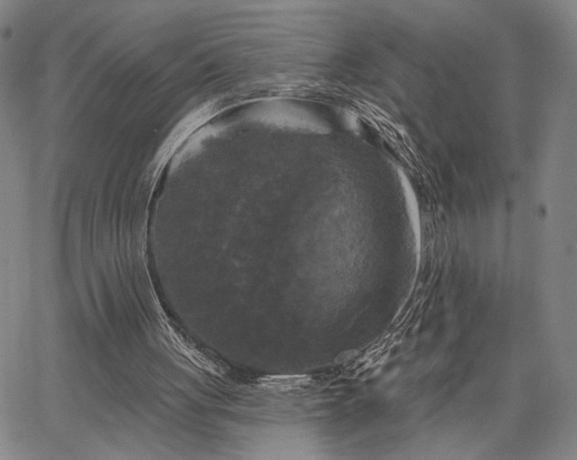 X0000067880051200604201254