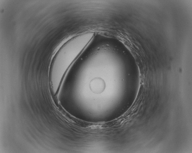 X0000067880052200604201254