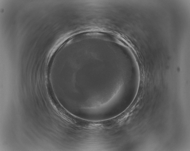 X0000067880055200604201254