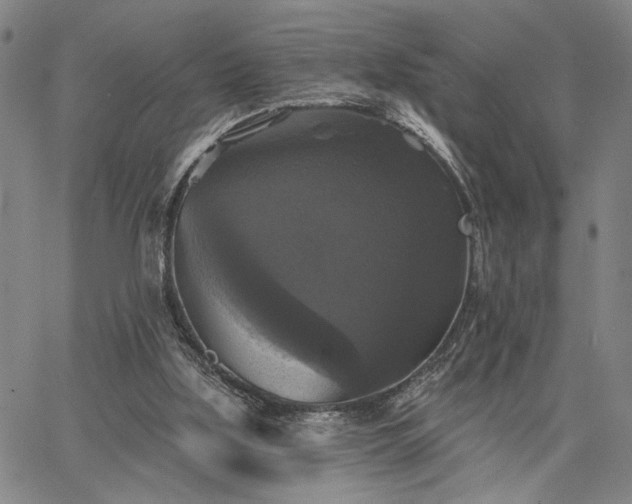 X0000067880059200604201254