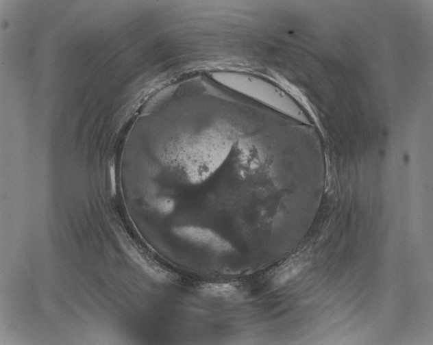 X0000067880061200604201254