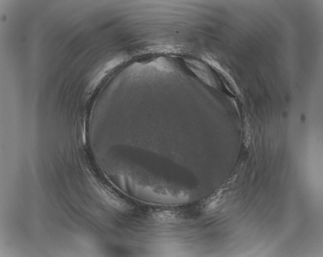 X0000067880062200604201254