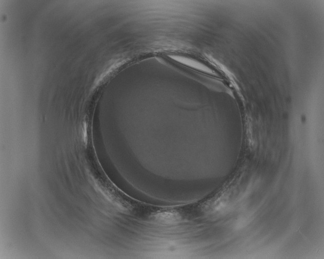 X0000067880067200604201254